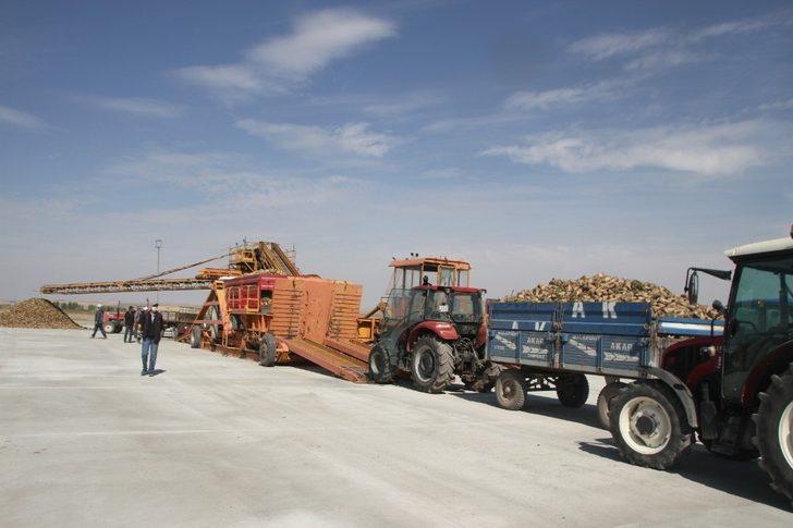 Malazgirt’te pancar alım kampanyası törenle başladı G5