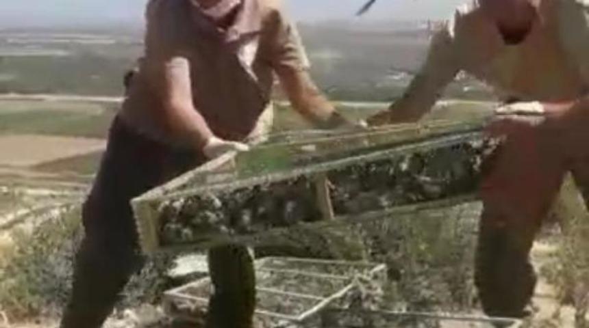 Saka kuşlarını ka&ccedil;ırırken yakalandı! Kesilen ceza dudak u&ccedil;uklattı