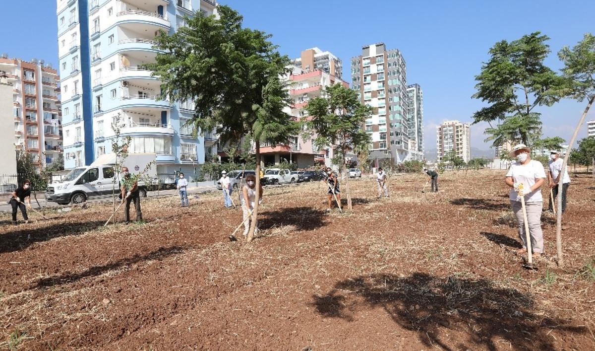 Mezitli&rsquo;de Avrupa Hareketlilik Haftası&rsquo;nda ağa&ccedil;lara bakım yapıldı
