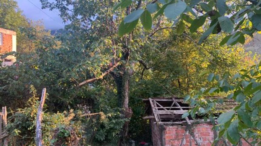 Bartın'da acı &ouml;l&uuml;m! Ceviz toplamak i&ccedil;in &ccedil;ıkmıştı...