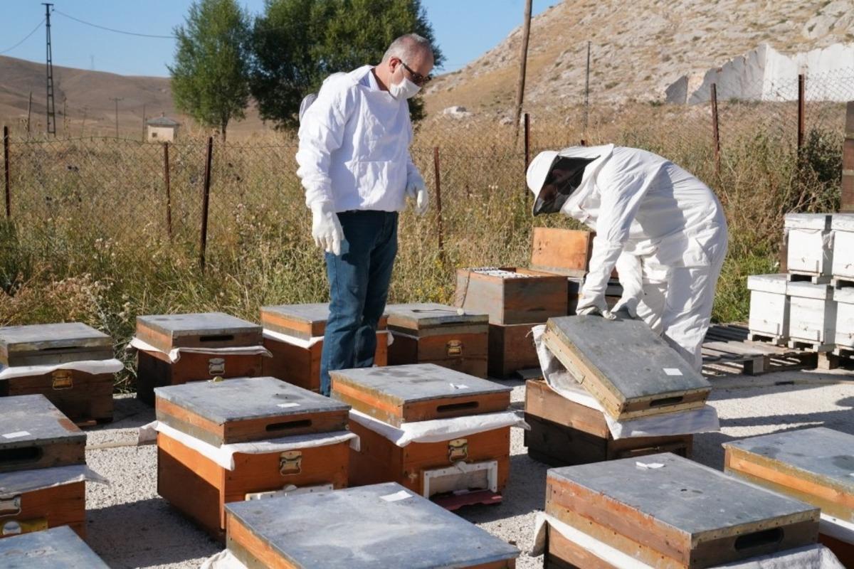 Bayburt &Uuml;niversitesinde coğrafi işaretli Bayburt Balının sağımına başlandı