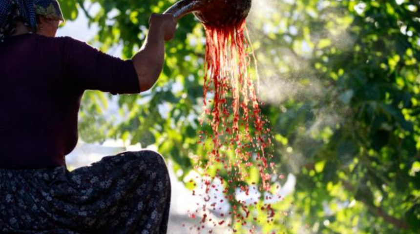 Şifa deposu &uuml;z&uuml;m pekmezi geleneksel y&ouml;ntemle yapılıyor! Saatlerce kaynatılıyor...