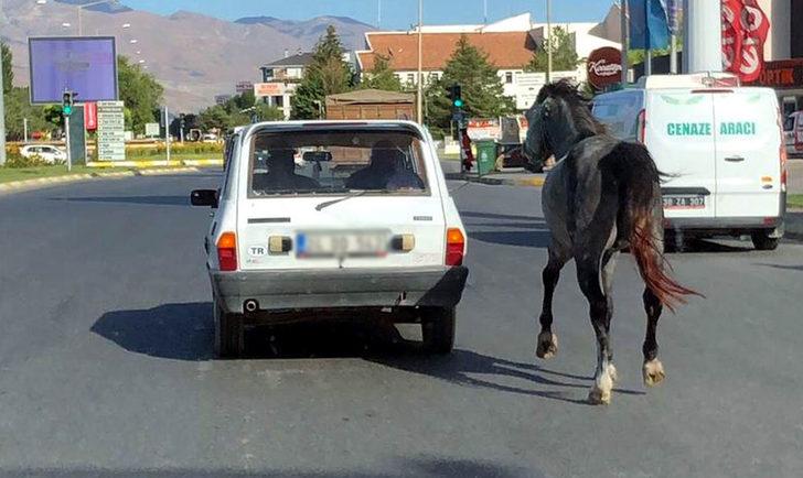 Erzincan'da tepki çeken olay! Otomobile bağladıkları atı kilometrelerce koşturdular