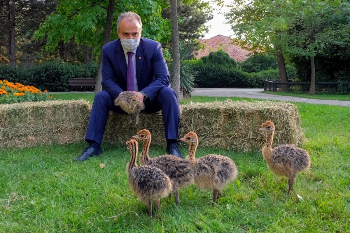 Hayvanat Bah&ccedil;esi yeni &uuml;yelerle b&uuml;y&uuml;yor