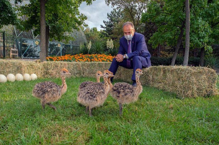 Hayvanat Bahçesi yeni üyelerle büyüyor G2
