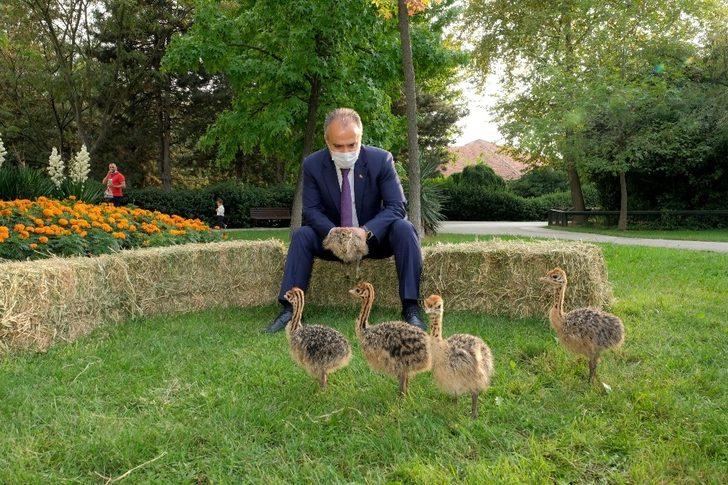 Hayvanat Bahçesi yeni üyelerle büyüyor G3