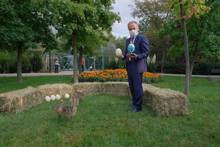 Hayvanat Bahçesi yeni üyelerle büyüyor G4