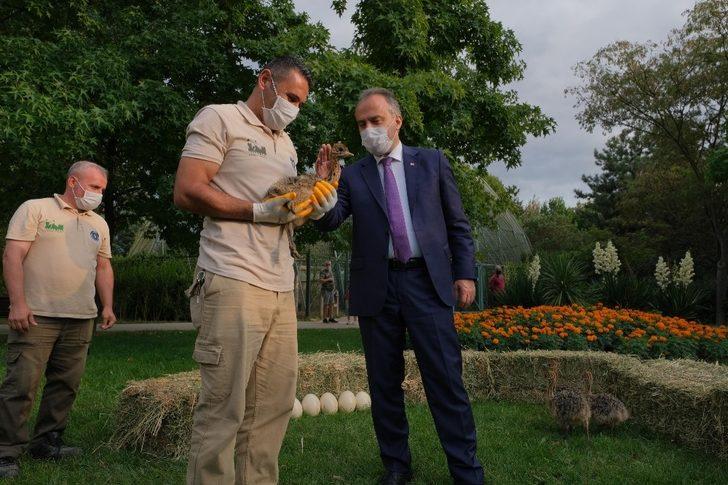 Hayvanat Bahçesi yeni üyelerle büyüyor G5