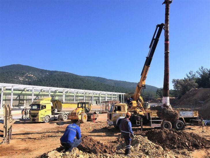 Muğla Büyükşehir’den ağaç hassasiyeti G2