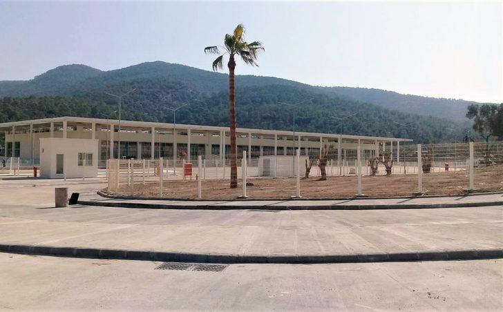 Muğla Büyükşehir’den ağaç hassasiyeti G4