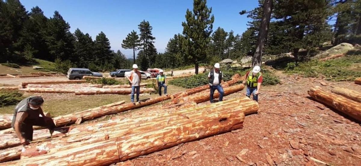 İşletme ve Pazarlama konusunda i&ccedil; denetimler