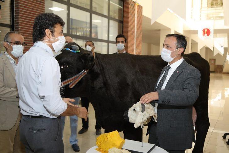 ERÜ Rektörü Çalış, Akademisyenler Tarafından Tasarlanan Hayvan Simülatörlerini İnceledi G2