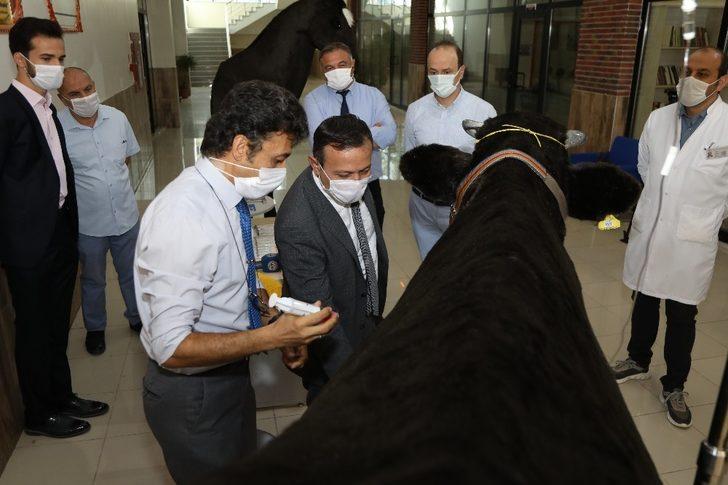 ERÜ Rektörü Çalış, Akademisyenler Tarafından Tasarlanan Hayvan Simülatörlerini İnceledi G4