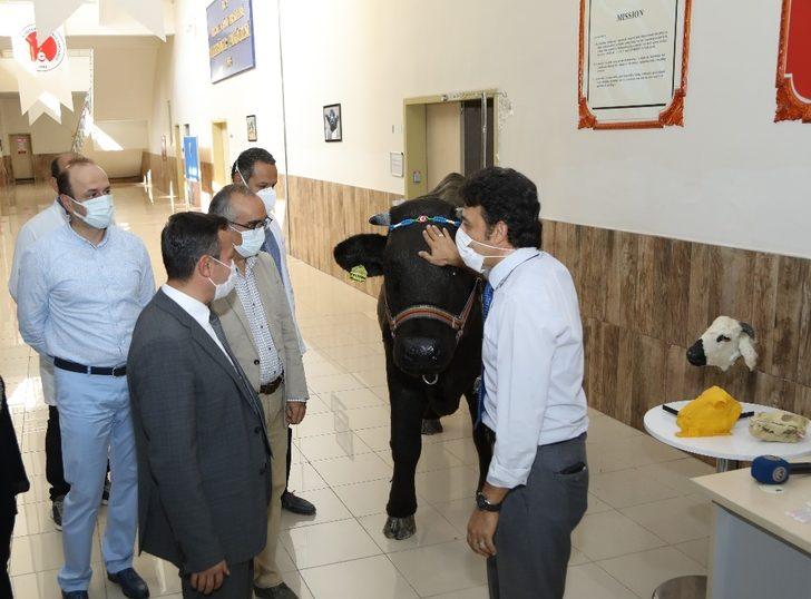 ERÜ Rektörü Çalış, Akademisyenler Tarafından Tasarlanan Hayvan Simülatörlerini İnceledi G5