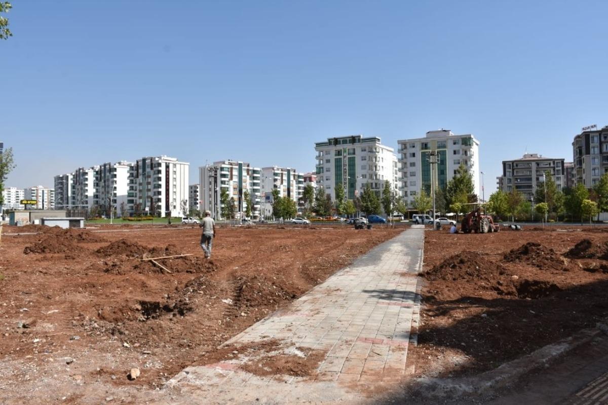 Diyarbakır&rsquo;a &ouml;zg&uuml; ağa&ccedil;lar parkta yetiştirilecek