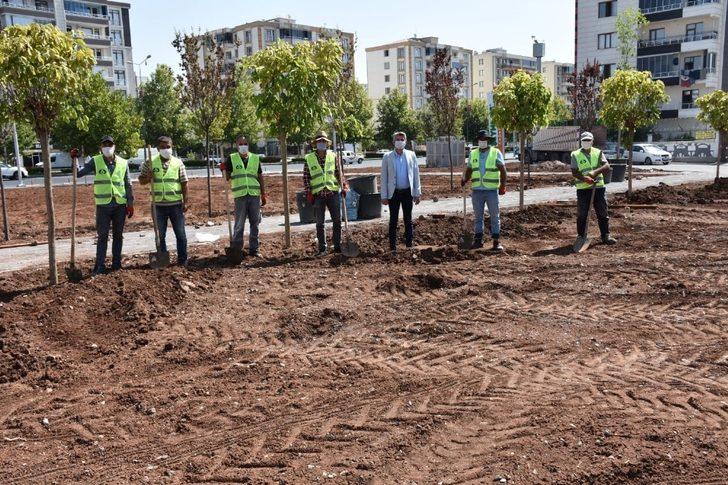 Diyarbakır’a özgü ağaçlar parkta yetiştirilecek G2