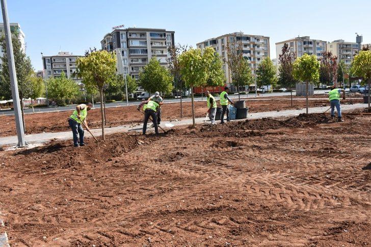 Diyarbakır’a özgü ağaçlar parkta yetiştirilecek G3