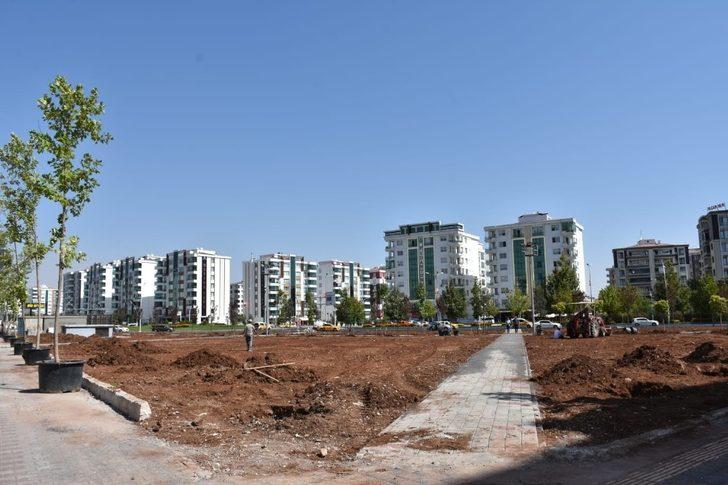 Diyarbakır’a özgü ağaçlar parkta yetiştirilecek G4
