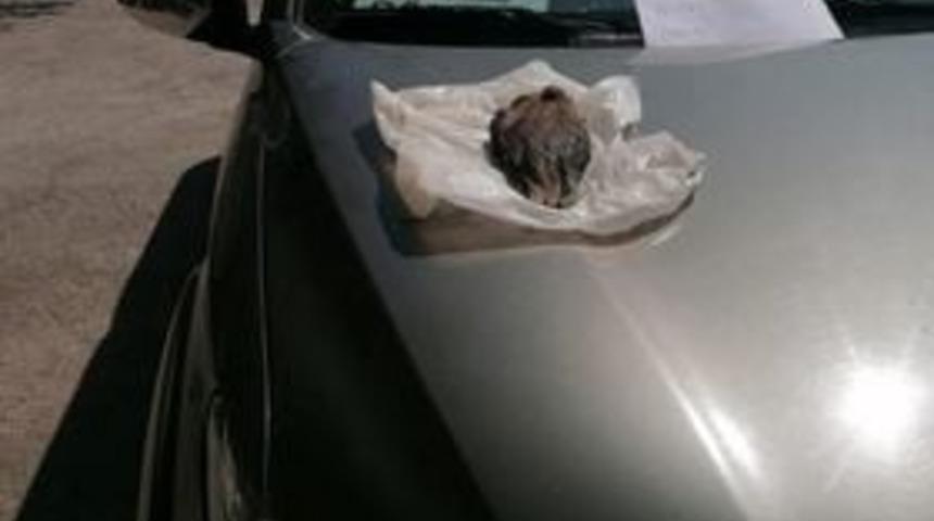 AVBİS&rsquo;ten kota almadan ve &ouml;rdek avlayan 4 avcıya 6 bin 447 TL idari para cezası