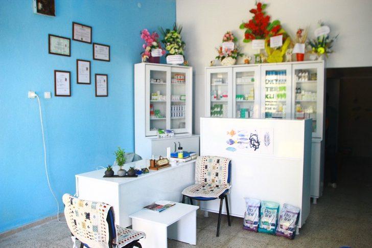 Hayvan sevgisi sayesinde veteriner hekim oldu G3