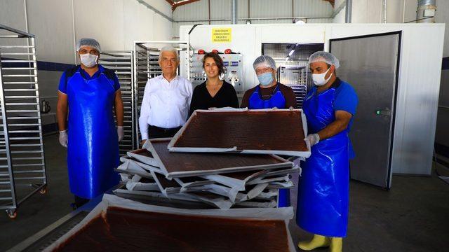 Meyve-sebze kurutma tesisi ile üretici kazanıyor