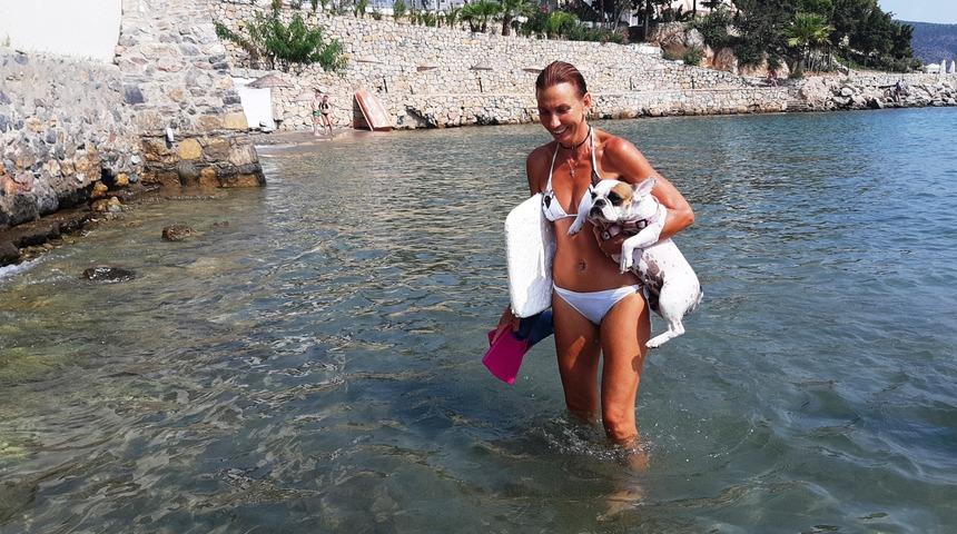 S&ouml;rf yapan k&ouml;pek g&ouml;renleri hayrete d&uuml;ş&uuml;rd&uuml;