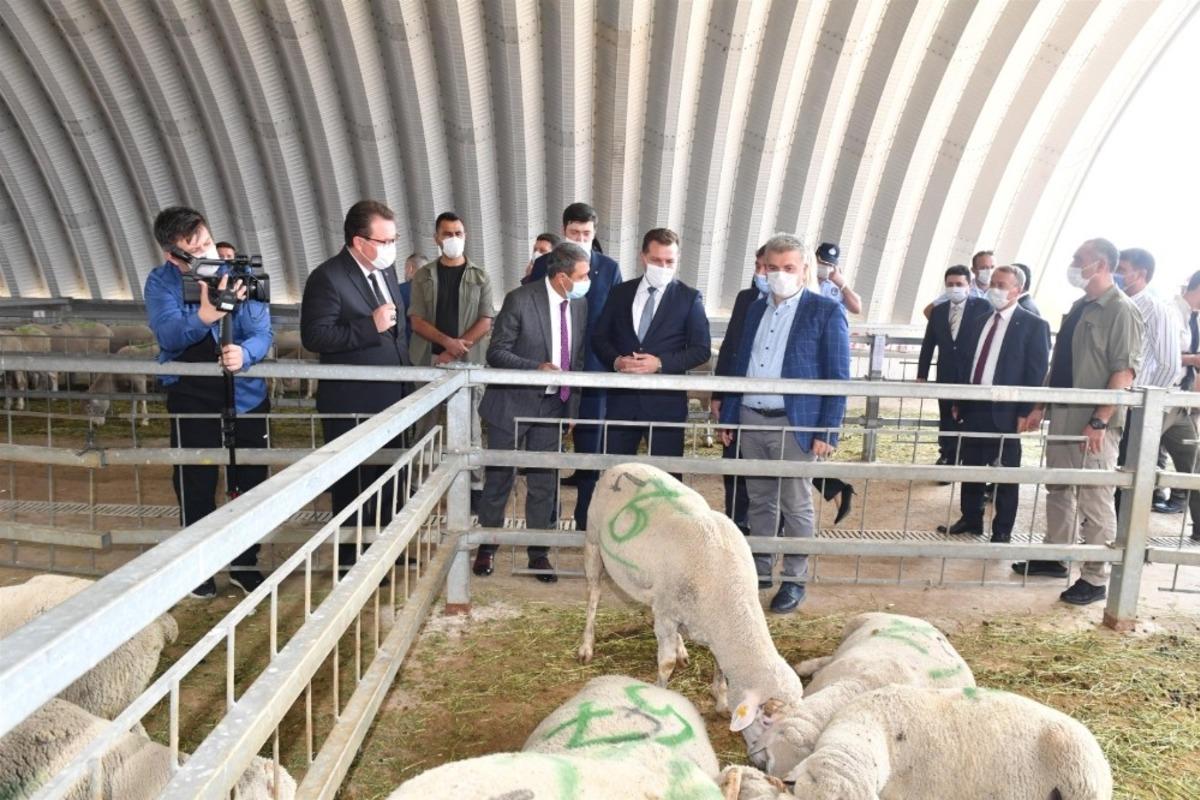 B&uuml;y&uuml;kşehir Belediyesinden k&uuml;&ccedil;&uuml;k &ouml;l&ccedil;ekli &uuml;reticiye destek