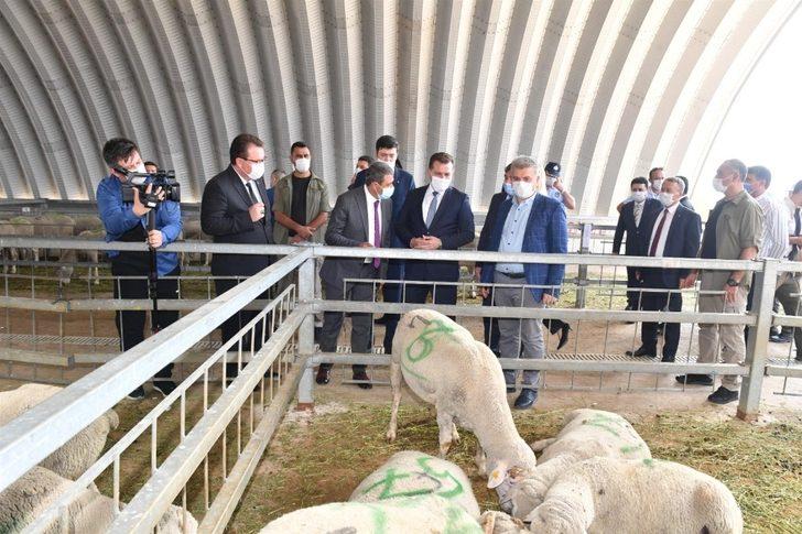 Büyükşehir Belediyesinden küçük ölçekli üreticiye destek G1