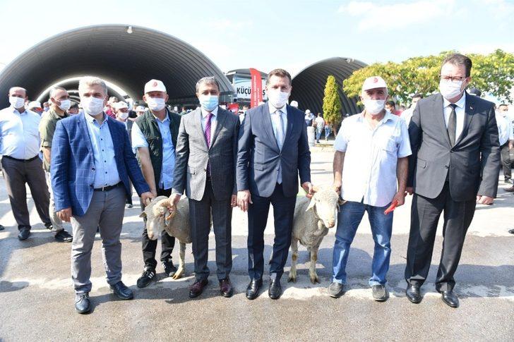 Büyükşehir Belediyesinden küçük ölçekli üreticiye destek G3