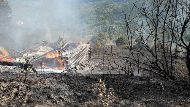 Kastamonu’da çıkan yangında 2 ev ve bir ambar kullanılamaz hale geldi