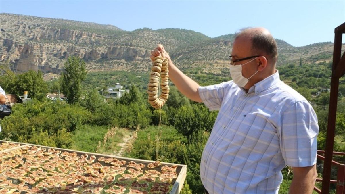 Mersin&rsquo;de incir altın yılını yaşıyor