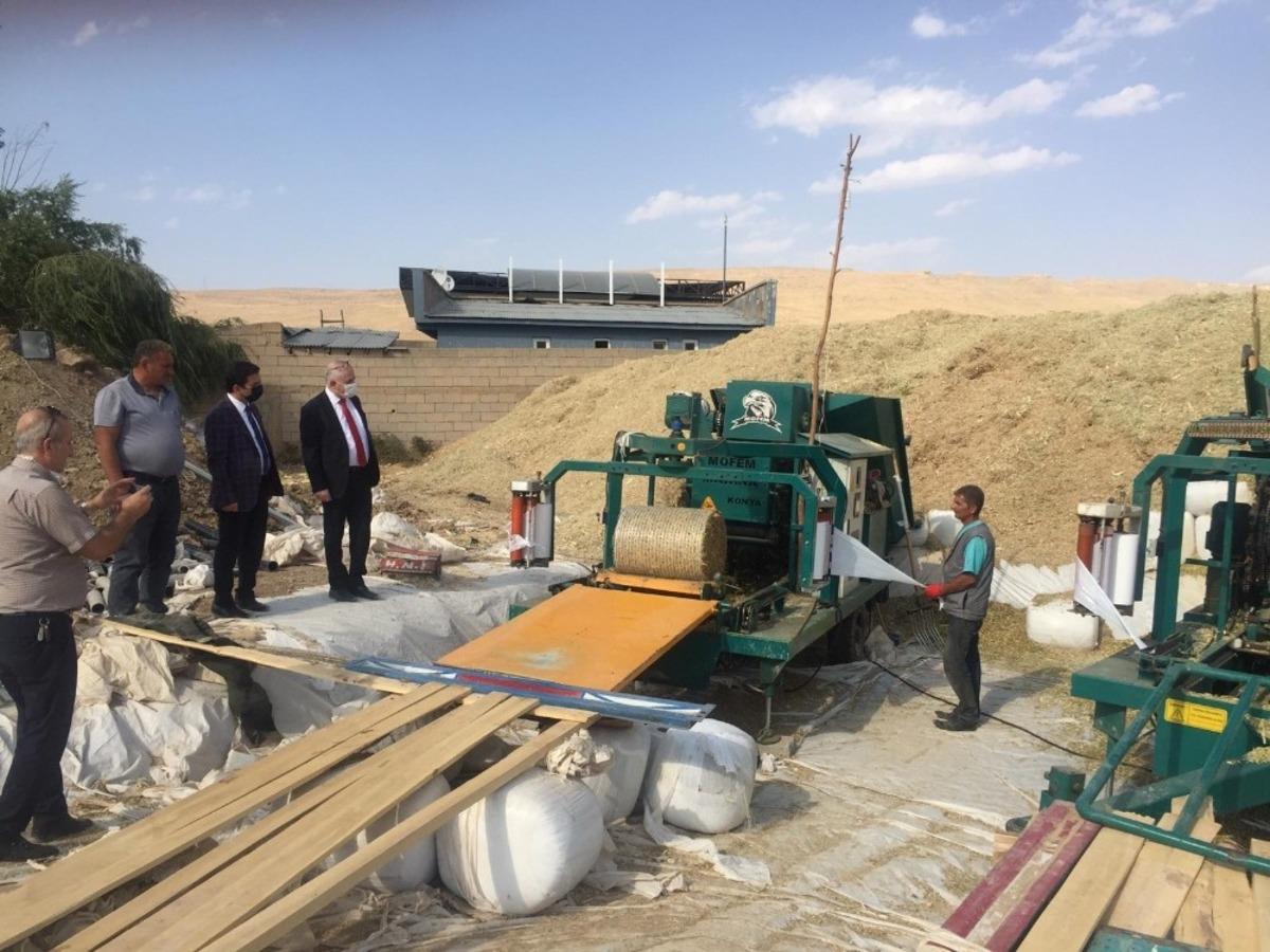 Van&rsquo;da &uuml;retilen silajlık mısırda ilk defa paketleme işlemi yapıldı