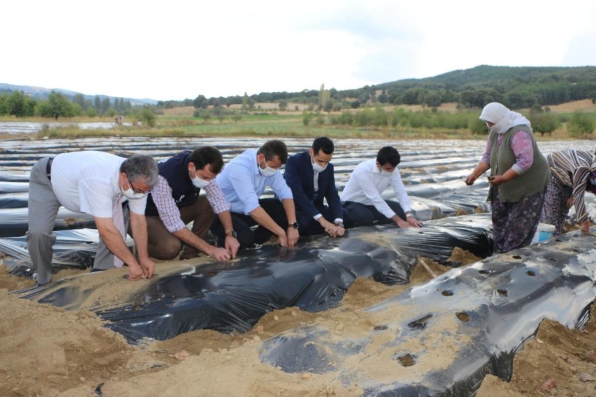 Kaymakam Soylu: "Amacımız &uuml;reticimize yeni gelir kaynakları oluşturmaktır"