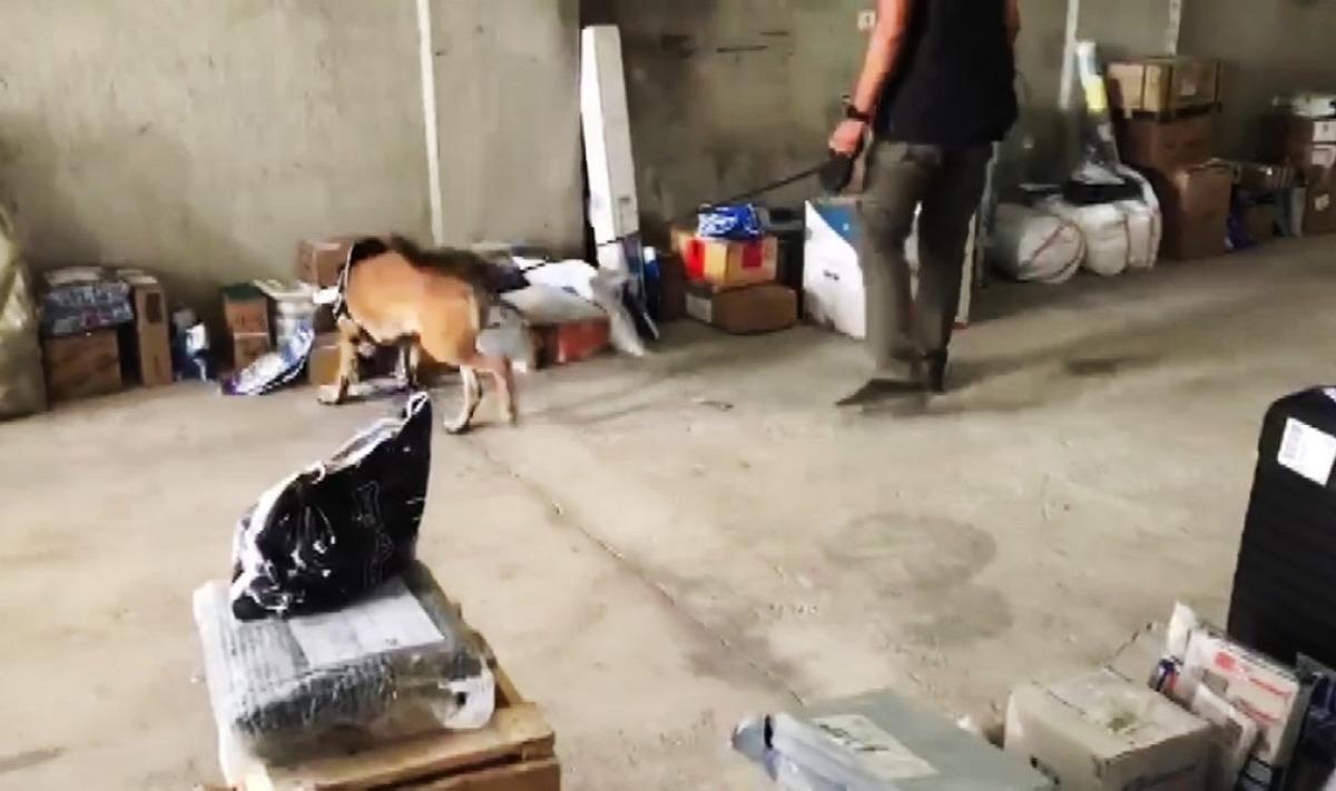Kargo ile uyuşturucu sevkiyatına operasyon