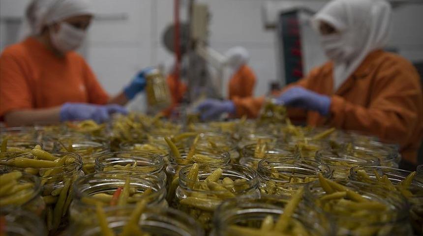 Türk turşusu 120 ülkeye ihraç edildi