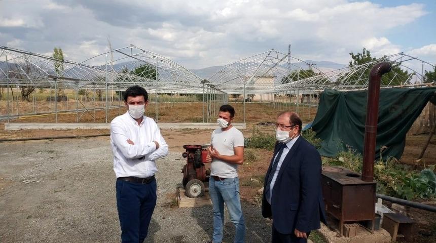 Erzincan&rsquo;da sera alanı 500 dekarı aşacak