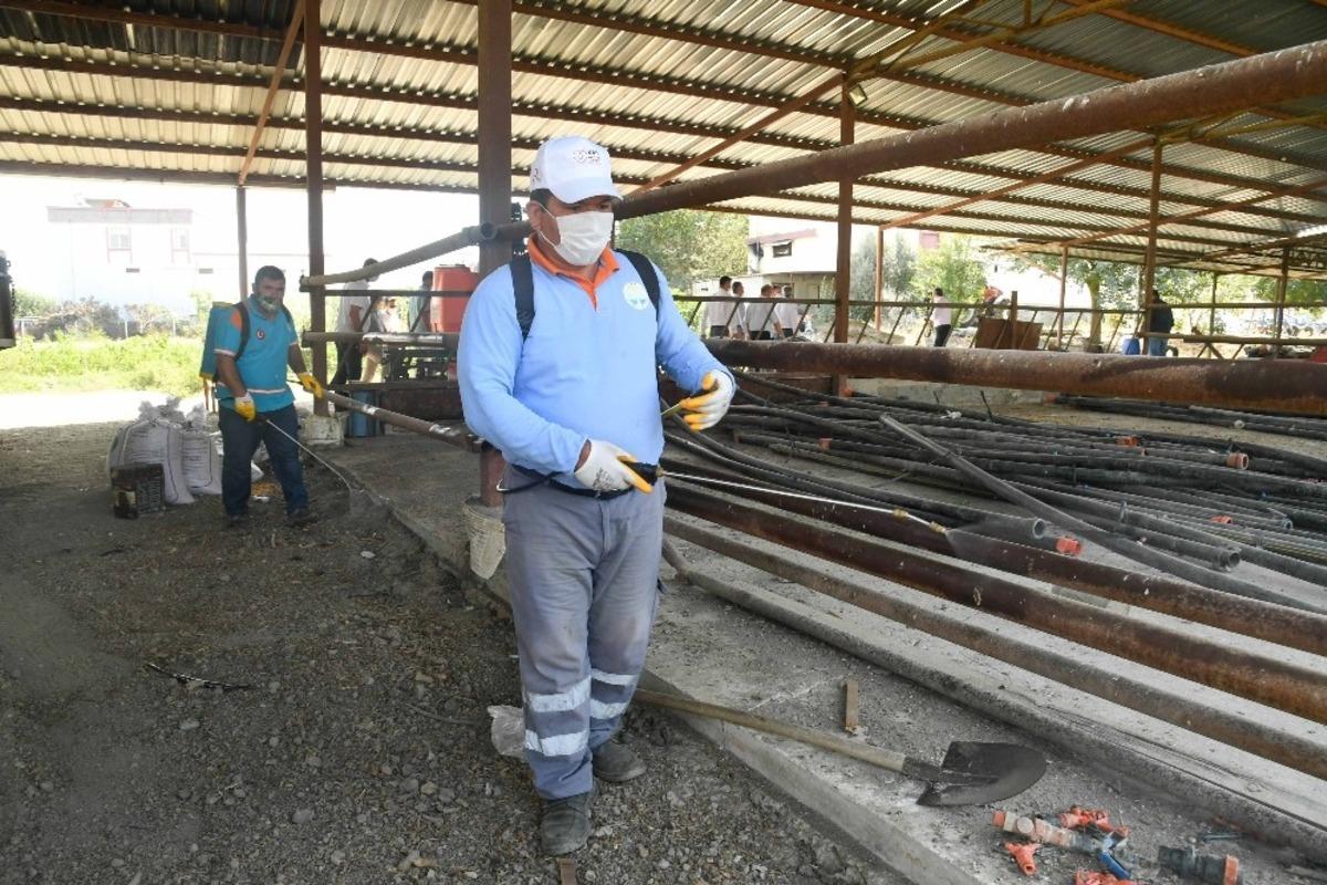 Vekt&ouml;rel hastalıklara karşı m&uuml;cadele