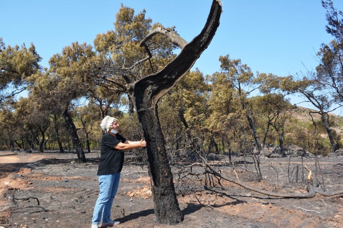 &ldquo;Şefkatli eller&rdquo; k&uuml;le d&ouml;nen ormanlık alanlara uzanacak