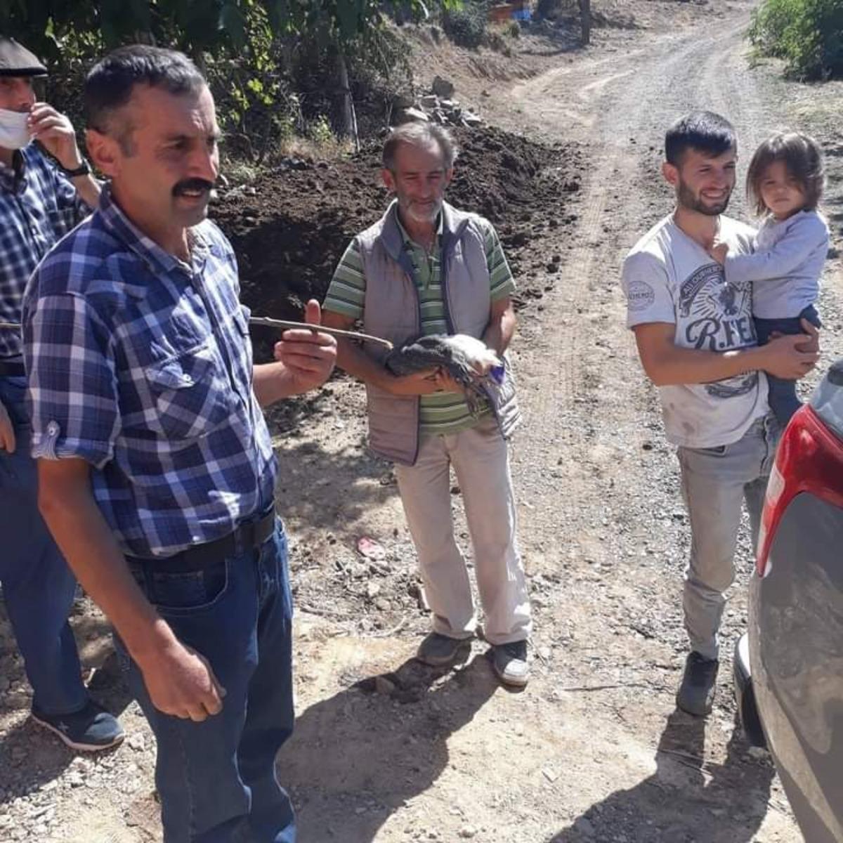 Be&ccedil; tavukları kenelere ge&ccedil;it vermeyecek