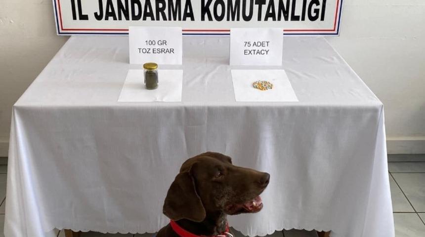 Jandarmadan uyuşturucu operasyonu