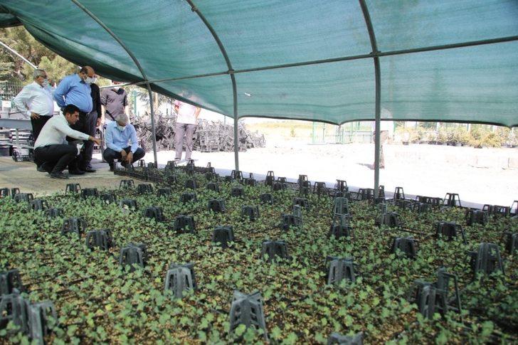 Battalgazi’de hobi bahçesi projesi G3