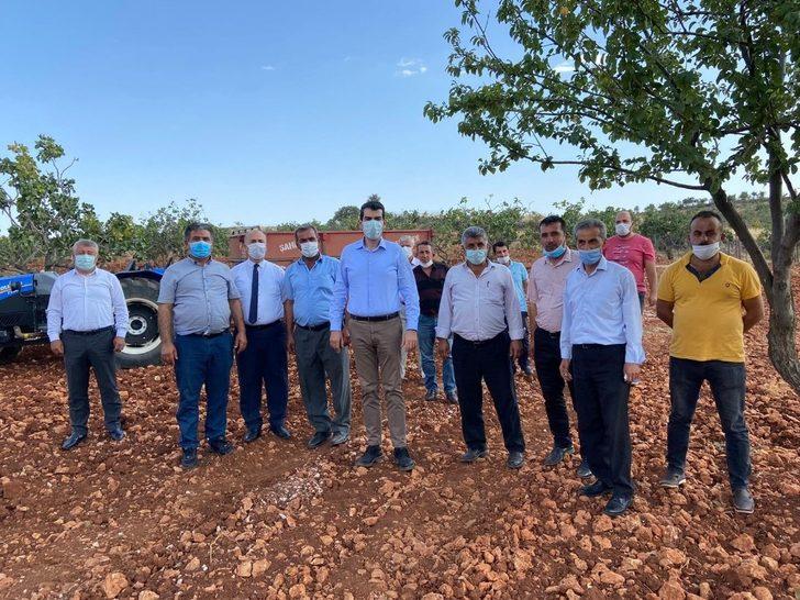 Gölbaşı’nda fıstık hasadı başladı G1