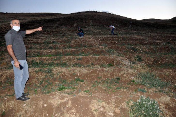 Bin 900 rakımlı 15 bin dönüm arazide meşe ağacı yetiştiriciliği G1