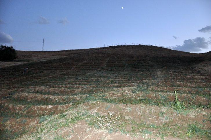 Bin 900 rakımlı 15 bin dönüm arazide meşe ağacı yetiştiriciliği G2
