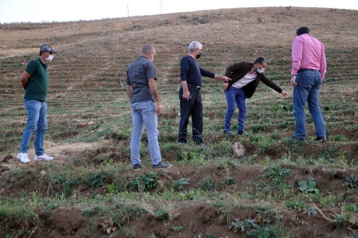 Bin 900 rakımlı 15 bin dönüm arazide meşe ağacı yetiştiriciliği G5