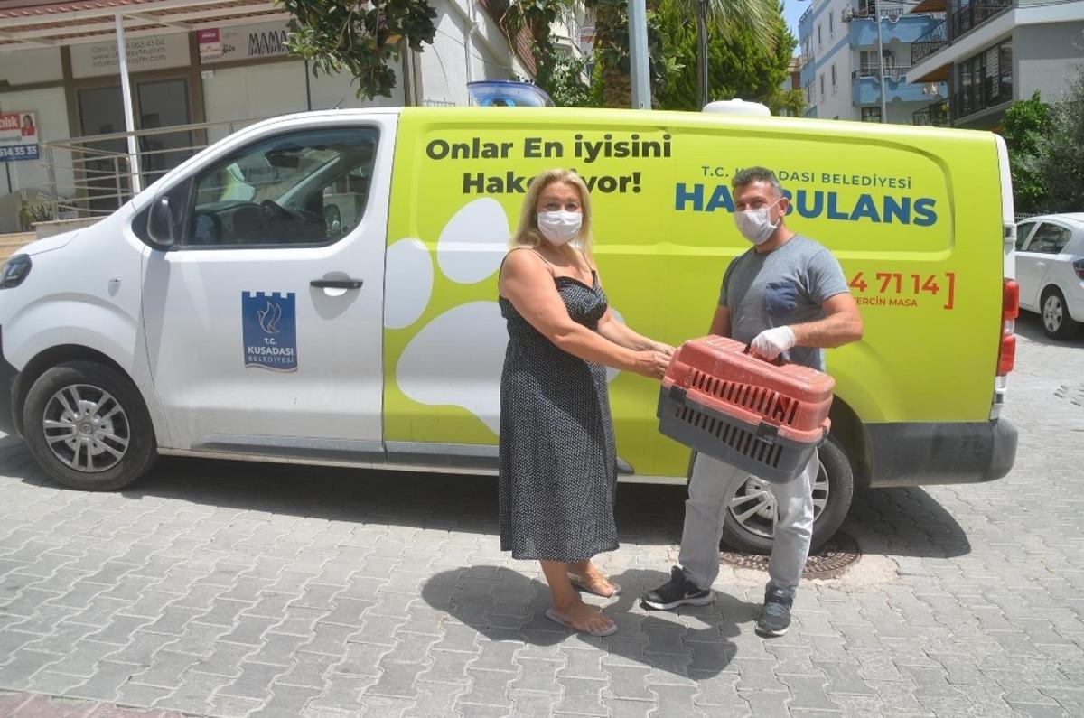 Haybulans, sokak hayvanları i&ccedil;in 8 ayda 83 bin kilometre yol yaptı