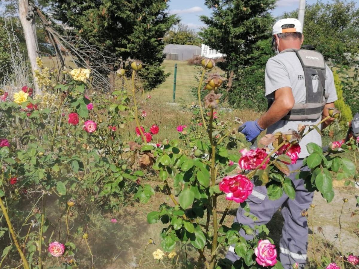 Ergene Belediyesi &ccedil;alışmalarını s&uuml;rd&uuml;r&uuml;yor