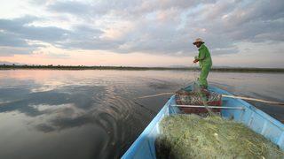 Balıkçıların gurup vakti ağ serme mesaisi kartpostallık görüntüler oluşturuyor