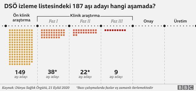 Aşı adayları hangi aşamada