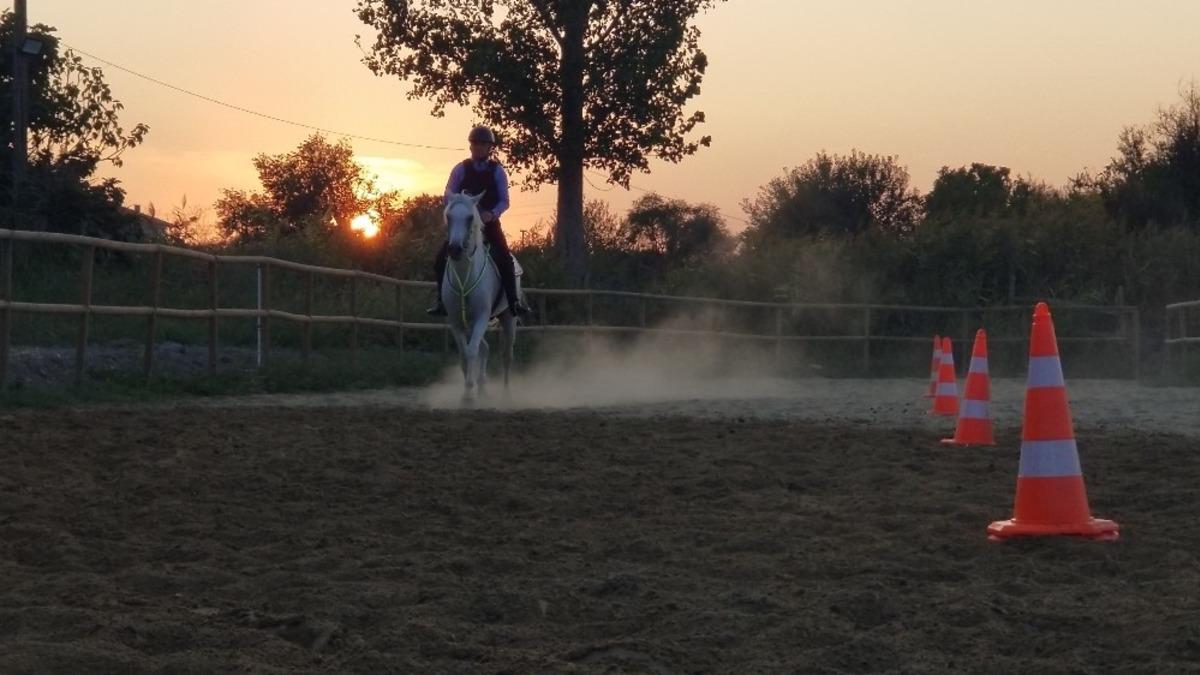 Vali Yardımcısı &Ouml;zmen ile İl Jandarma Komutanı Yıldırım ata bindi